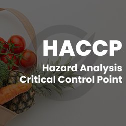 konsultan haccp 7 prinsip haccp sertifikasi haccp plan sertifikat haccp